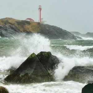 Meet your Posher, Darla